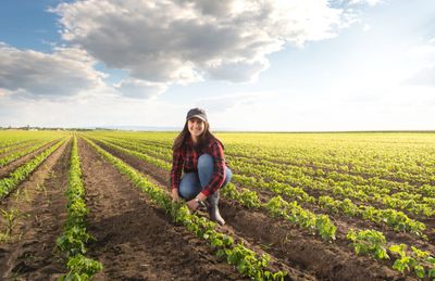 Have the Grain Markets Hit Bottom?