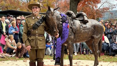 Sandy the WWI warhorse immortalised with bronze statue in hometown Tallangatta