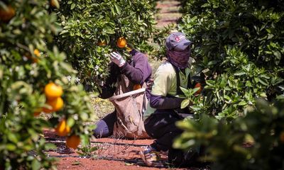 ‘Permanently temporary’ migrants are part of Australia. Labor must not fail them again