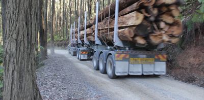 After the chainsaws, the quiet: Victoria's rapid exit from native forest logging is welcome – and long overdue