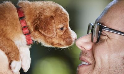 What’s the difference between a baby and a puppy? I know how to behave when friends get a baby