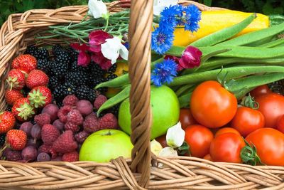 Grow a rainbow of colourful fruit and veg for Pride