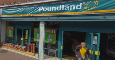 Poundland shoppers are rushing to buy £1.50 item that banishes pesky flies