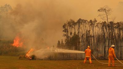 Black Summer bushfire inquest hears back-burn was needed to contain Currowan blaze