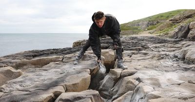 Incredible earth mural brings Triceratops back to life at a Jurassic Coast quarry
