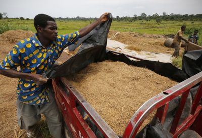 How inflation made West Africa’s prized jollof rice a pricey meal