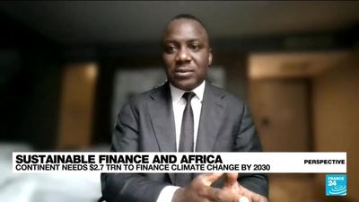 Sustainable finance in Africa: 'Business and sustainability can go hand-in-hand'