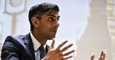 Rishi Sunak blames defence chiefs for decision to slash Army troop numbers