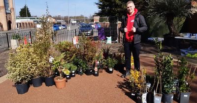 Teen upset after garden he spent two years on hit by thieves