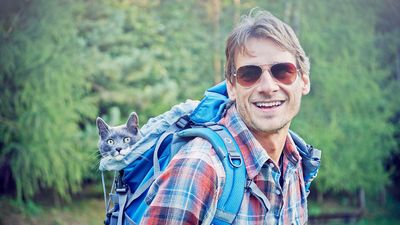 Hiking with cats: top 10 tips to get safely out on the trail