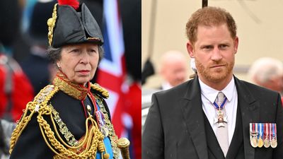 Princess Anne and Prince Harry’s exchange at coronation ‘surprised’ fellow royals