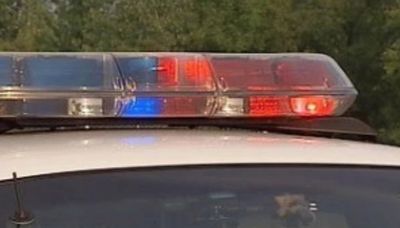 Father charged with leaving 6 kids inside hot van in Maine Township