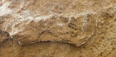 World's oldest _Homo sapiens_ footprint identified on South Africa's Cape south coast