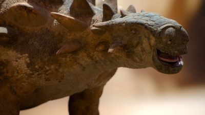 Watch exclusive clip of never-before-depicted dinosaur from Prehistoric Planet season 2