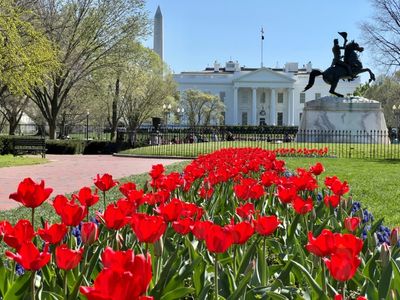 Driver detained after crashing into barrier near White House