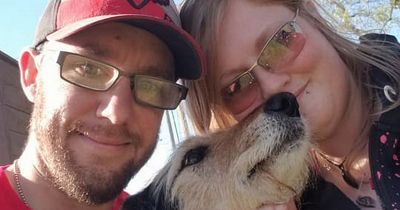 Man massacres wife and his in-laws alongside pet dogs before confessing on Facebook