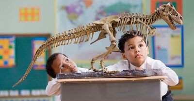 Dad rages after daughter's private school claims dinosaurs didn't exist