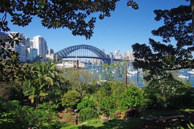 It is high time Sydney had a high line to match Paris and New York City