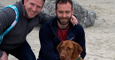 Dog owners put on alert after attempted daylight theft of beloved pet in Dublin