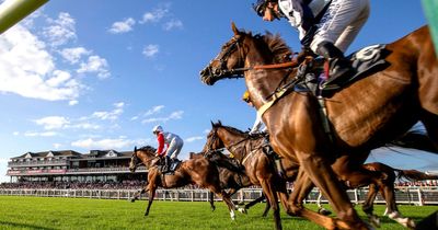 Newsboy's horse racing selections for Wednesday's five meetings, including Ayr nap