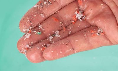 Recycling can release huge quantities of microplastics, study finds