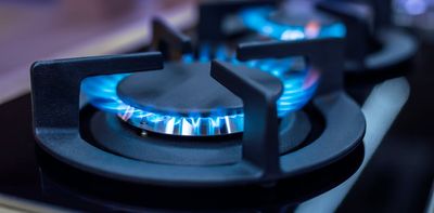 NZ’s gas problem: phasing out natural gas in homes demands affordable alternatives first