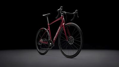 The new Specialized Allez owes it to cycling to be good