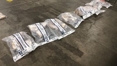 Federal police seize $270 million of ice from Mexico despite elaborate concealment