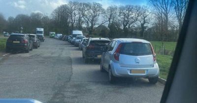 Bristol Airport parking chaos leaves food trader unable to work due to cars left parked in A38 lay-by