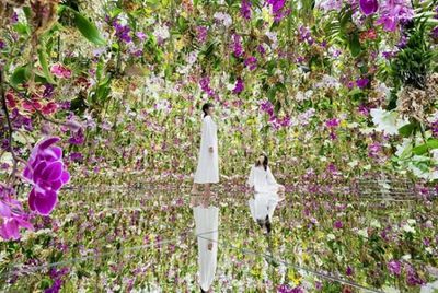 Take in Earth's beauty at immersive Macao art spaces
