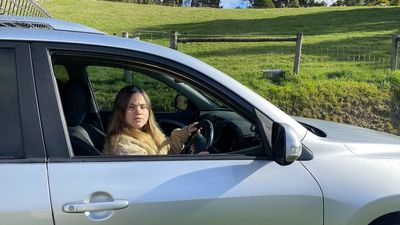 Medical cannabis road safety laws scrutinised in drug driving review