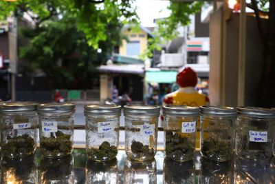 Weed shop near school suspended