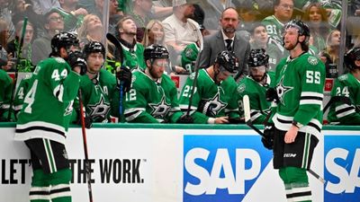 Dallas Stars Fans Halt Game 3 Loss by Throwing Trash Onto the Ice