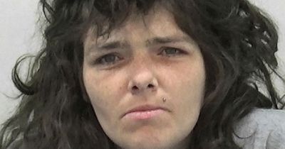 West Denton lout finally jailed after assaulting police officers for TENTH time