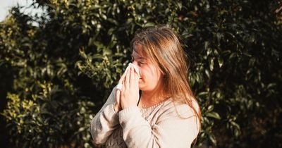 Edinburgh locals warned of hay fever symptoms as pollen season begins