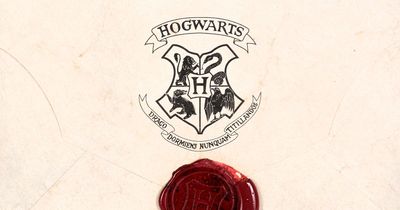 You can buy a Hogwarts acceptance letter for £12,000