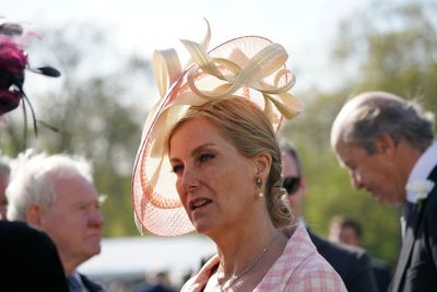 Elderly woman hit by Sophie, Duchess of Wessex’s royal escort dies - OLD