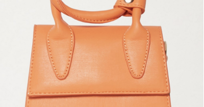I Saw It First's £8 bag that looks just like £675 Jacquemus version