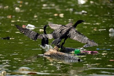 Plastics are in our air, food, and water. A reckoning is coming–and smart businesses can see it