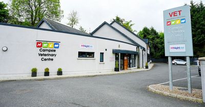 Co Tyrone vets to open up out of hours emergency care service for pets