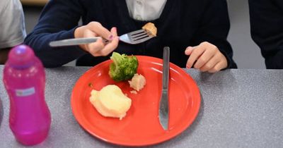Cost of living: Barnardos calls for expansion of school meals scheme following new report