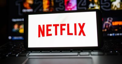 Netflix viewers turn off 'utterly stupid' new thriller over 'ridiculous' plot twist