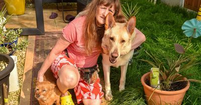 'Builders turned my garden into stinking toxic swamp - it's killing my dogs'