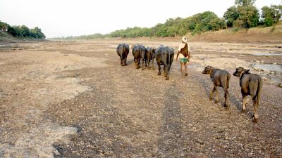 Farmers organisations urge Chief Minister to request Maharashtra to release Krishna river waters