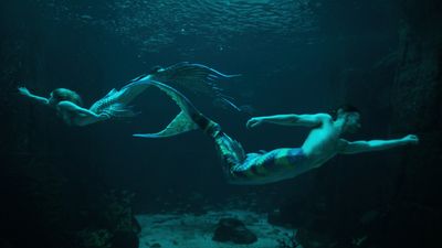 MerPeople cast: meet the stars of Netflix's mermaid docuseries