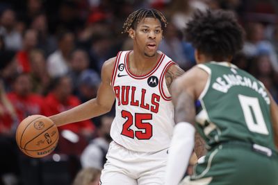 Dalen Terry ‘should be ready’ for bigger role on Chicago Bulls