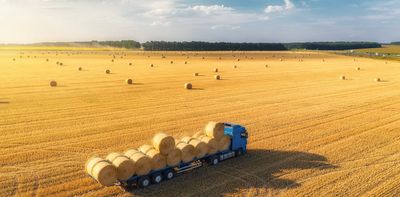 Price inflation: five ways stronger UK supply chains can help reduce rising food costs