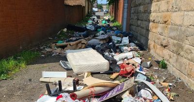 Govanhill resident 'humiliated' at 'disgusting' fly-tipping as rats roam the streets