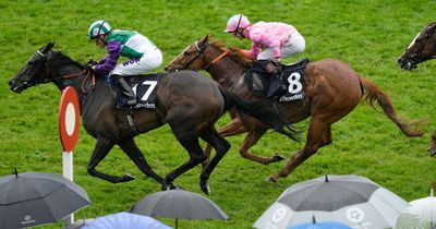 Live In The Dream can be 'a force' in the Temple Stakes at Haydock Park