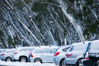 Cold snap with damaging winds, hail and snow forecast for Australia’s south-east